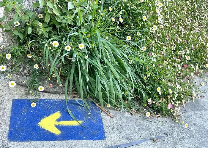 Дом отдыха Fairview Сабардес